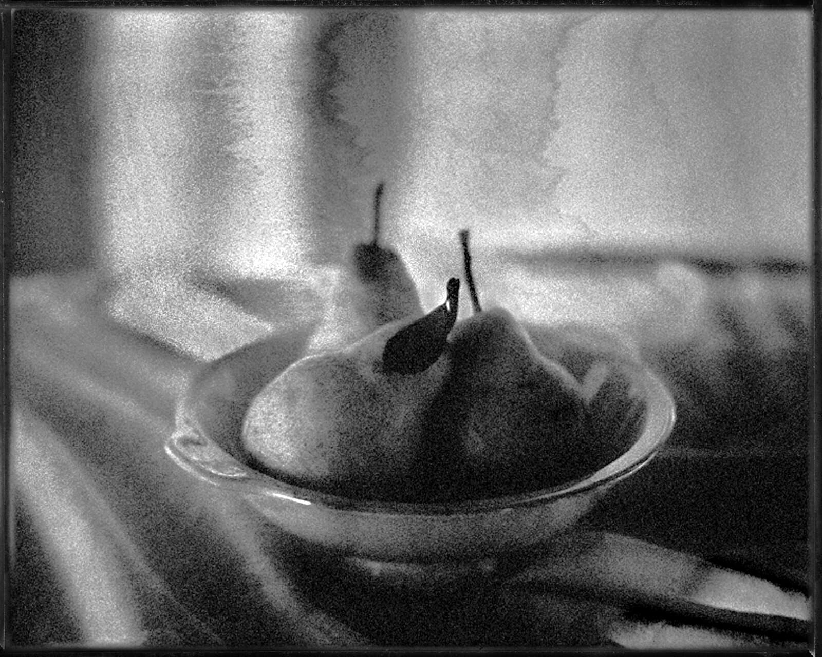 041 — Hrušky, Praha, 2004