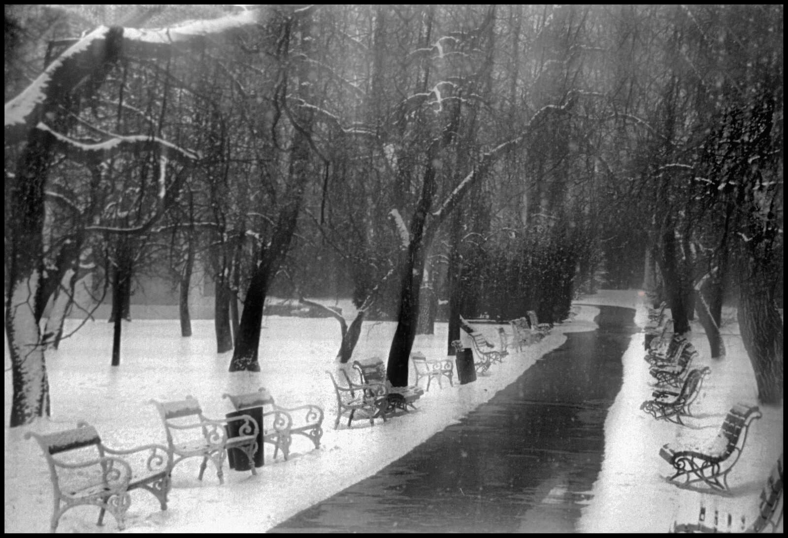 057 — Winter Garden, Praha, 2005