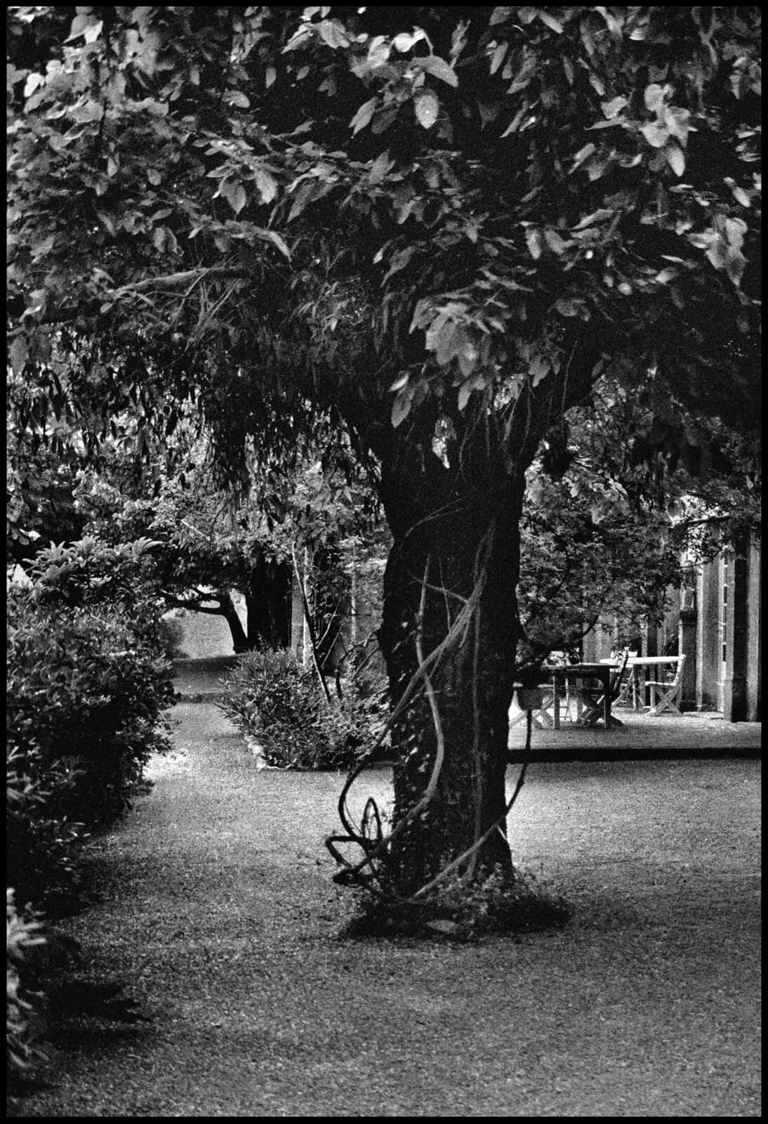 149 — Château de Christian Dior, Francie, 1973
