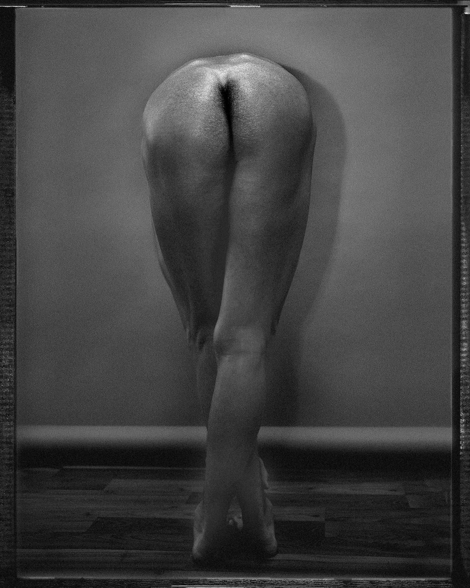 231 — Homage to Mapplethorpe, Praha, 2008