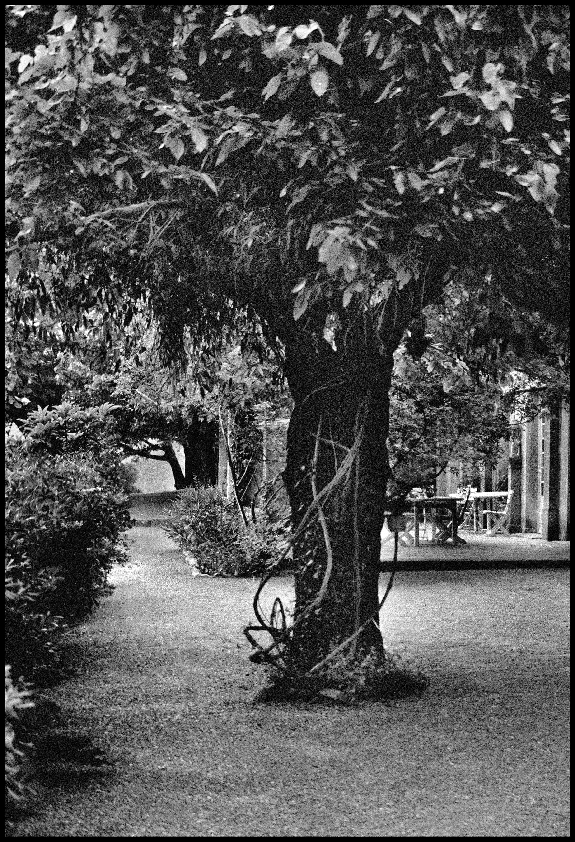 149 — Chateau de Christian Dior, Francie, 1973