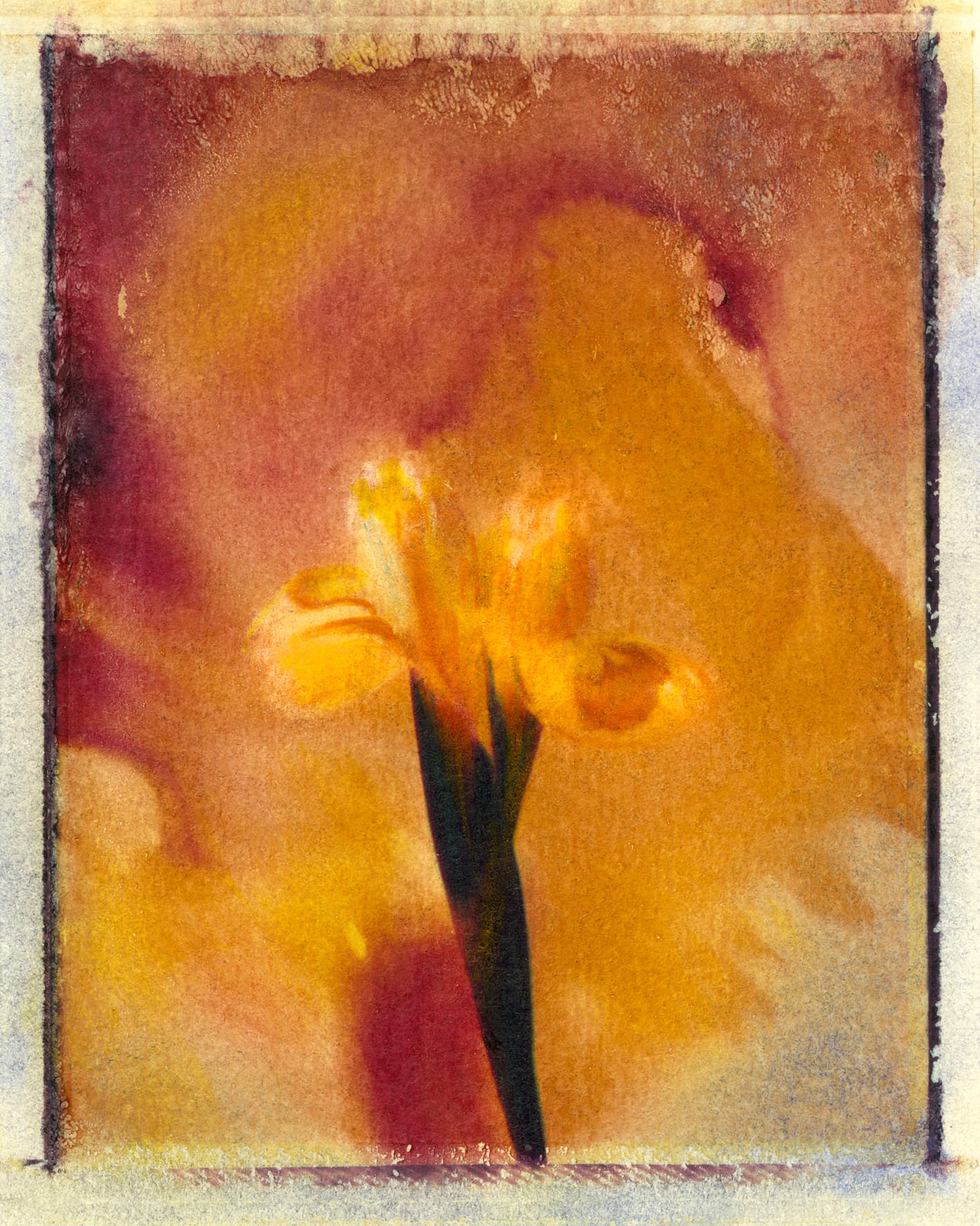170 — Bloom, New York, 1990